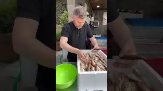 Barbun 🐟 