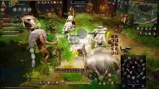 Black Desert Best Solo&Party Grinding Spots Rotation in kamasilvia lvl 60 62