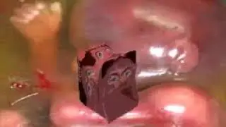 moopie