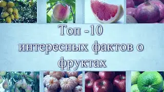 ТОП-10 интересных ФАКТОВ о фруктах