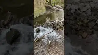 Красивое место на Вятке. Озеро Ежово 