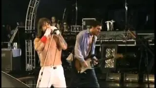Red Hot Chili Peppers - Don't Forget Me - Live Japan 2004