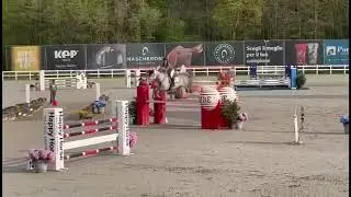 Mokka , mare 2017 by Monte Bellini