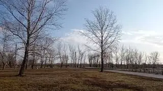 Зубной техник -выбирай одно наиболее важное дело !