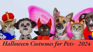 Top 10 Adorable Halloween Costumes for Pets 🎃🐾 | Cute & Spooky Ideas!