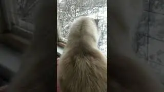 18 апреля / продолжение.