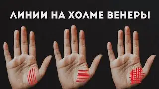 What do the lines on the Mount of Venus mean? Vital energy, worry lines | Palmistry