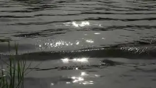 ВОДА