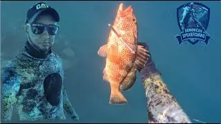Experience Amazing Underwater Spearfishing Adventures
