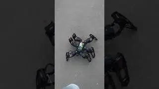 Гексапод   первая прогулка