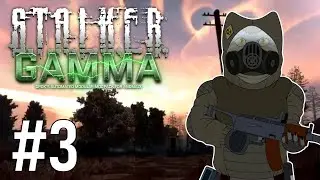 Fidchell VODs: STALKER GAMMA 0.9 Military Ironman Run [3]