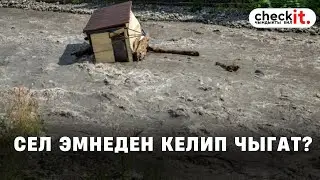 Сел эмнеден келип чыгат?