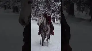 cowboy on a gray horse