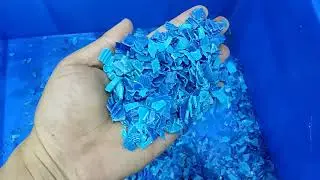 belt type color sorter for sorting plastic flake
