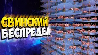 АНАРХИЯ - БЕЗУМНЕЙШАЯ ФЕРМА САЛА, БЕСКОНЕЧНАЯ ДОБЫЧА ЕДЫ