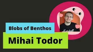 Blobs of Benthos - Mihai Todor