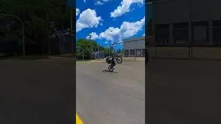 Clean wheelie clean skyline !