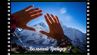 Настройка графика МТ4. Вольный Трейдер.