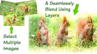 PhotoDirector Layers | Ver. 7, 8, 9 & 10 - (Combine Photos to Create Stunning Compositions)