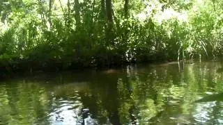 Rando canoe episode 1