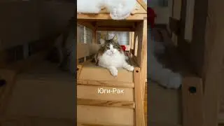 Гороскоп Анука давайка (1 часть)