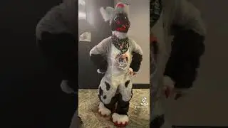#fur