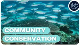 Community conservation