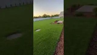 Рулонный газон, растения, отсыпка корой лиственницы🔥