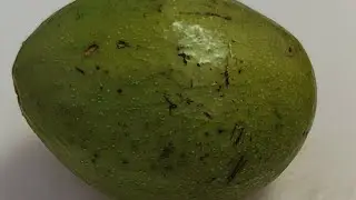 LAPZZ is live! ASMR CUTTING/PEELING AVOCADO 🥑