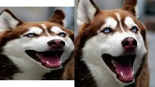 Tutorial Photoshop CS6 - How to fix the proportions