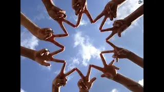 Как много людей, похожих на этих птиц