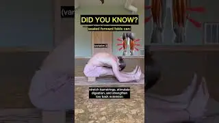 Benefits of seated forward fold 🙏🏼🖤 