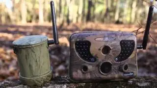 SPYPOINT TINY-PLUS