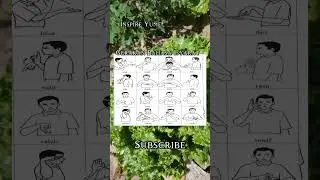 #part2  Gerakan Bahasa Isyarat dalam Kehidupan sehari-hari #belajar #bahasaisyarat #shorts #fypシ゚
