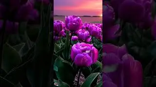 Сынок, послушай... Это для Тебя!!!
