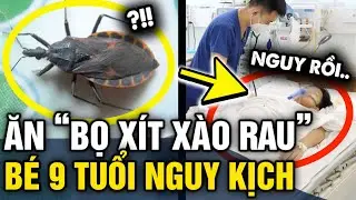 Ăn rau món BỌ XÍT XÀO RAU bố chế biến, bé trai 9 tuổi TRÚNG ĐỘC nguy kịch | Tin 3 Phút