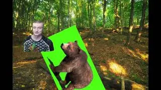 выживание в лесу 🌳. медведь 🐻