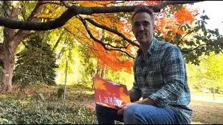 Read Aloud: Red Leaf , Yellow Leaf by Lois Ehlert