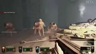 Warhammer: The End Times - Vermintide - BETA