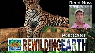 What is “Rewilding?” Reed Noss Episode 2 - Rewilding Earth Podcast