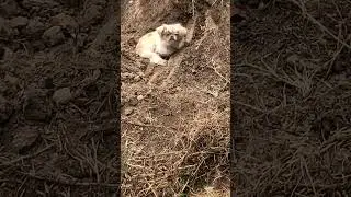 Luego no quiere bañarse