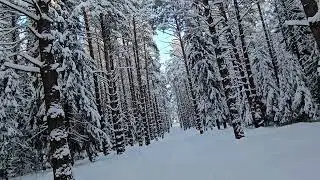 7 января 2024 г.