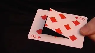 One amazing bet you will always win!