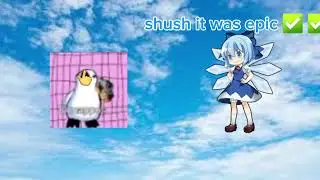 cirno vs El Mappos 3