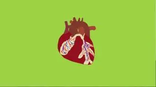 Traditional Chinese Medicine Approach to UTI