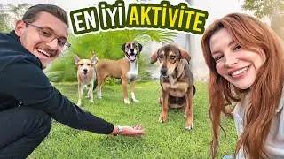 AŞKINLA YAPILACAK AKTİVİTELER PT1 : KÖPEKLER