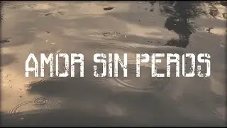 AMOR SIN PEROS - Zecko 574 (Videolyric) 🇲🇽