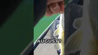 3 Top Spots for your AUGUST  Bass Fishing #fishing
