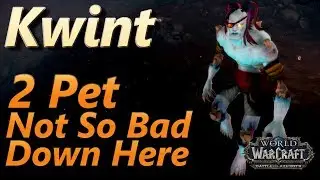 Kwint 2 Pet Leveling Strategy Pet Battle World Quest Not So Bad Down Here BFA