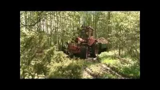 Volvo BM2654 drar tungt lass i skogen